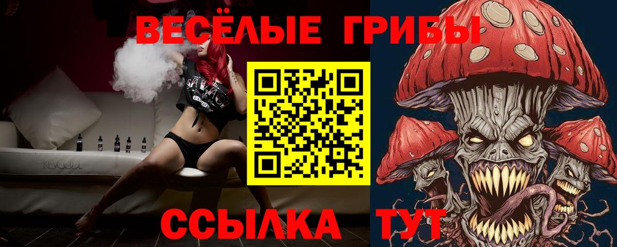 Галлюциногенные грибы Psilocybe  Вход с VPN  цена наркотик  Волжск  Галлюциногенные грибы Psilocybe 
